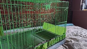 птичий домик: Защитные сетки от птиц — 3
