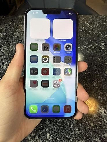 pro: IPhone 13 Pro Max, Б/у, 256 ГБ, Графит, 76 % — 2