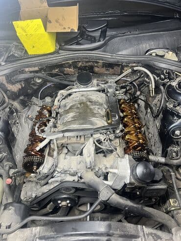 сальники цена: Набор маслосъёмных колпачков клапанов Elring на моторы м111 м112 м113 — 7