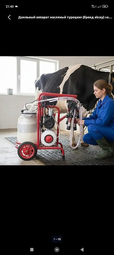 Животные: Доильный аппарат типа для коров (турецкий бренд Aksay) - Передвижная — 1