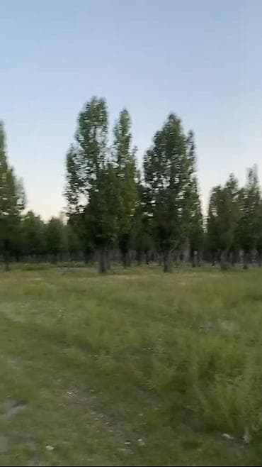 Недвижимость: 500 соток, Для бизнеса — 4