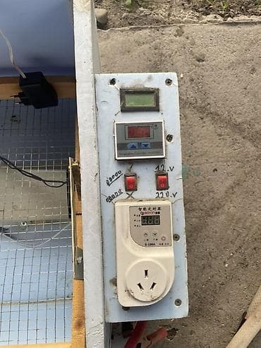 Оборудование для производства: Инкубатор самодельного типа для яиц птицы Описание: - Корпус из — 2