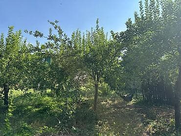 с новопокровка: 🏡 ПРОДАЁТСЯ ПРОСТОРНЫЙ 7-КОМНАТНЫЙ ДОМ В НОВОПОКРОВКЕ! ✨ Отличный — 9