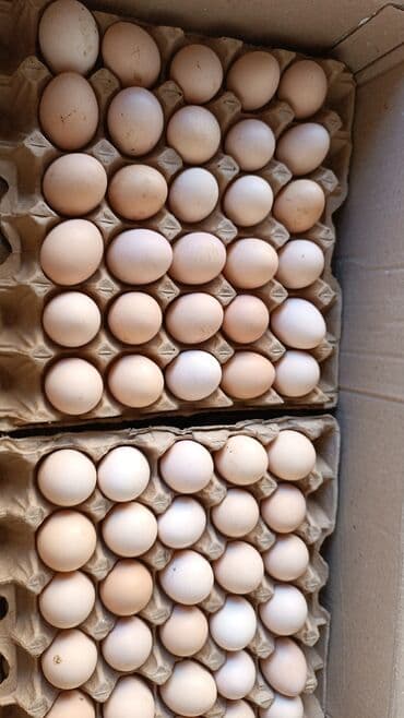 продаю связи с переездом: Другие автоуслуги — 2