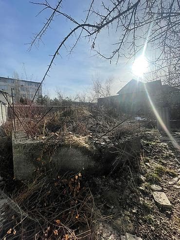 талас контейнер: 5 соток, Курулуш, Кызыл китеп — 4