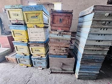 Упаковочные товары: Ящик — 1