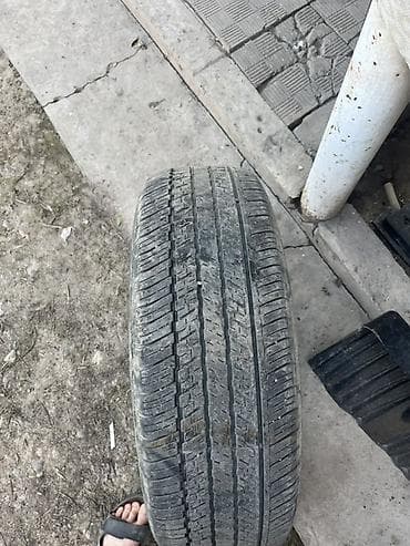 195 70 16 с: Шины R 17, Всесезонная, Внедорожные (АТ/МТ), Dunlop — 1