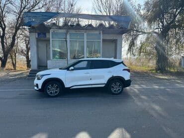 лак для машин: Kia Seltos: 2019 г., 1.6 л, Автомат, Дизель, Кроссовер — 1
