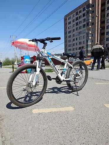 trinx carbon: Горный велосипед, Рама M (156 - 178 см), Алюминий — 1