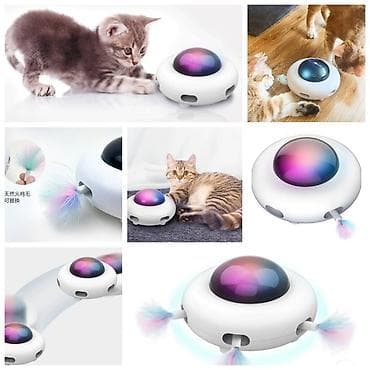 приюты для животных: Продаю новые в отличном качестве лотки крытые и открытые,а так же — 5