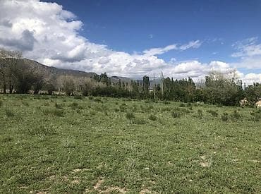 с нижняя ала арча: 50 соток, Для сельского хозяйства, Красная книга — 8