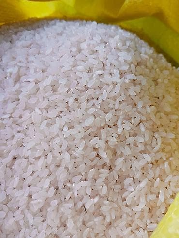 поставщики куриного мяса: Аланга высший сорт без размешка оптом по 100 сом. а также есть — 2