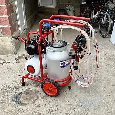 стрижка животных на дому: Продаю турецкий доильный аппарат в идеальном состоянии пользовались — 4