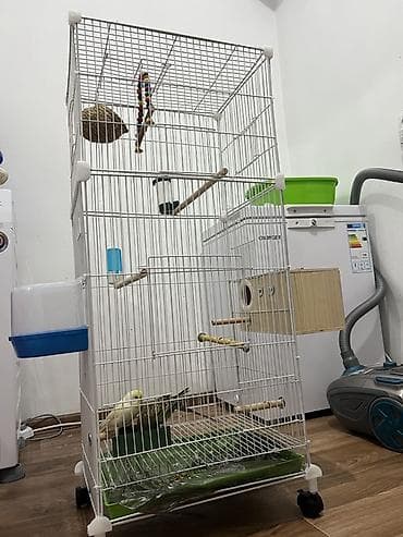 Защитные сетки от птиц, Самовывоз