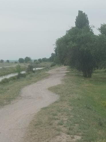 гараж металический: Участок земли(багарная пашня)у водоёма — природная локация для отдыха — 1