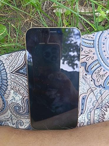 iphone xs pro: IPhone 12 Pro, Золотой, 74 % — 5