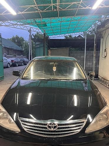 ноускат камри 30: Toyota Camry: 2003 г., Автомат, Бензин, Седан — 1