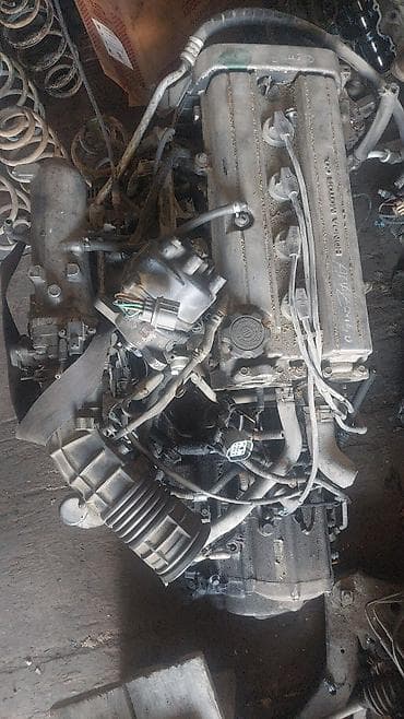 etari 700 max: Бензиновый мотор Honda 1.5 л — 1