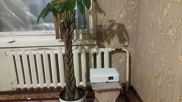 Продаю роектор CO-WOl EPSON ультракороткофокусный