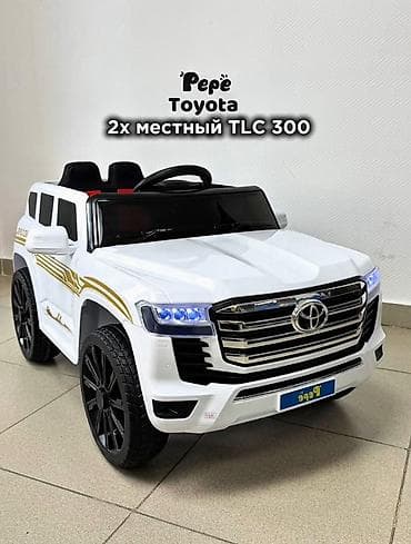 плутовой машина: Детский электрокар — 1