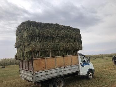 движок для света: Грузовик, ГАЗ, Стандарт, 3 т — 2