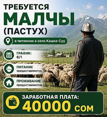 Требуется Пастух, Оплата: Ежемесячно at lalafo.kg Требуется Пастух, Оплата: Ежемесячно