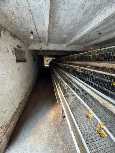 оборудование для молока: Предлагается или сдается промышленное помещение,продаю построенное из — 8