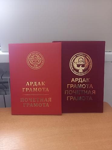 печать на ватмане: Типография изготавливает: адресные папки (обычные бархатные) — 1