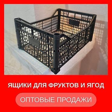 Ящиктер: Ящики для овощей и фруктов Оптовые продажи Стоимость уточняйте по — 1