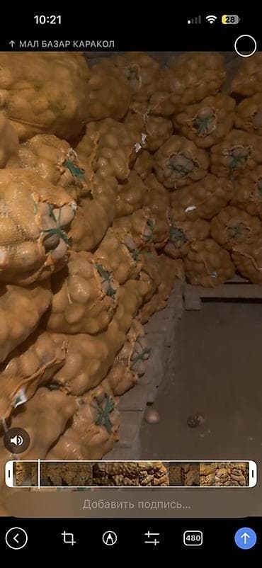 Картошка Джелли, В розницу