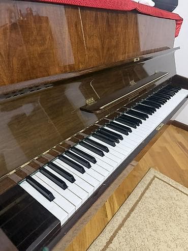 Фортепиано Rönisch (upright) - Немецкое пианино известной мануфактуры