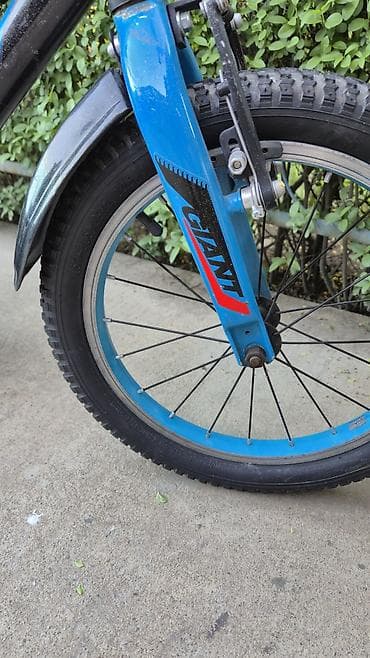 шины на гигант 16с: Детский велосипед, 2-колесный, 4 - 6 лет, Для мальчика — 4