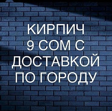 Пустотелый, дырчатый, Жженый кирпич, Полублок, 250×120×90