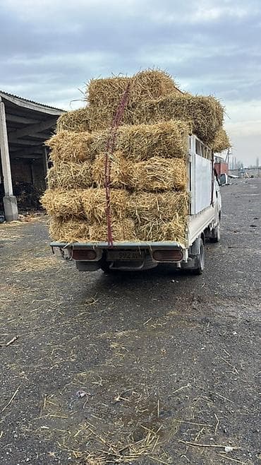 продаю овёс: Солома в тюках - Культура: зерновая солома (сухая, светло-золотистая) — 2