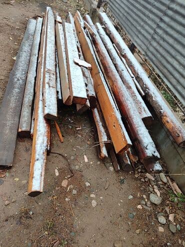 тополь продаю: Хвоя — 5