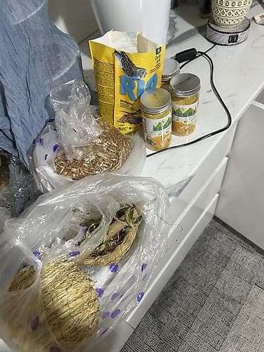 клетка бу: Продаются два волнистых попугая вместе с большой напольной клеткой — 4