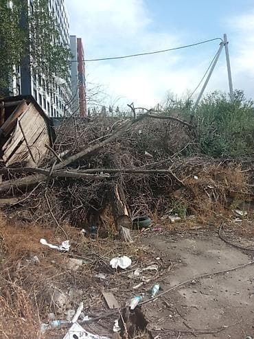 Отдам даром: Бесплатно дрова, завод ЭВМ, по улице Исакеева/Чолпон Атинка — 2