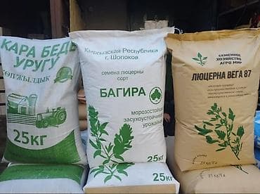 Семена кормовых растений: Люцерна