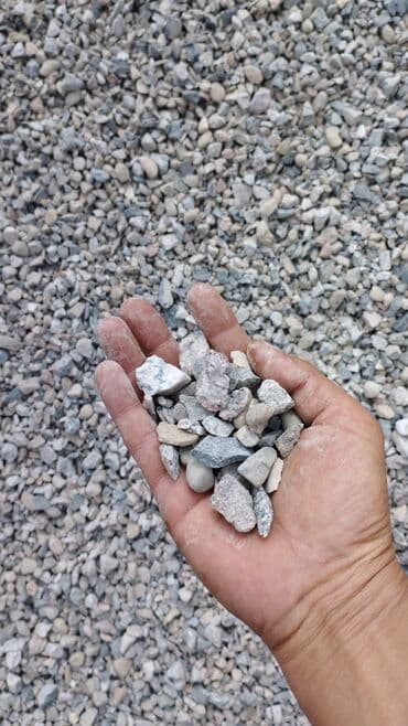 чернозема: Бус, Доставка щебня, угля, песка, чернозема, отсев, По городу, По региону, с грузчиком — 5