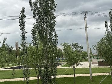 кут манас аэропорт: 2 комнаты, 67 м², Индивидуалка, 4 этаж, Евроремонт — 10