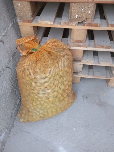 индюшиное мясо цена: Продается грецкийе орехи!! — 1