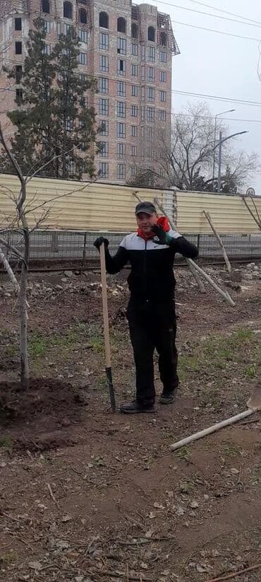 Обрезка деревьев!!! Сезонная обрезка плодовых деревьев!!! Зима