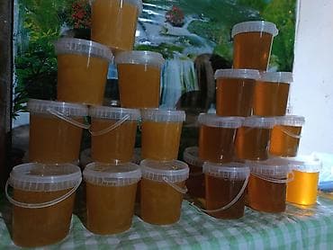 мед пчелинный: Натуральный пчелиный мёд в пластиковых ведёрках с пломбируемыми — 1