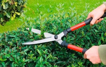 пылесос дордой: Сдам в аренду — 5