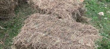 Иттер: Сено в тюках.

Первый укос — 1