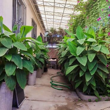 куплю дом район кызыл аскер: Дом, 135 м², 4 комнаты, Риэлтор, Евроремонт — 27