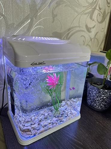 аквариумы с рыбками: В подарок: рыбка 🐠 и корм (хватит примерно на год). В комплекте — 3