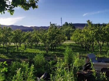 аренда дом кудайберген: 275000 соток, Бизнес үчүн — 1