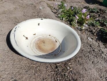 пустые канистры: Тазы СССР Алюминий - 1600 сом Латунь - 2500 сом Эмаль большой - 350 — 12