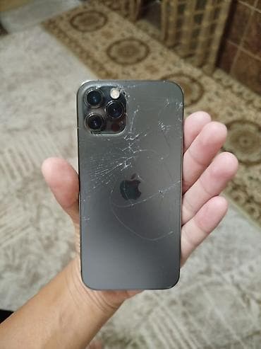 IPhone 12 Pro Max, Графит